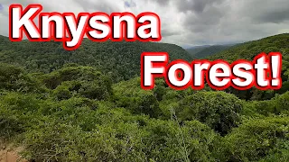 S1 - Ep 77 – The forest on the Seven Passes Road to Knysna!