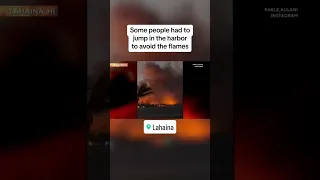 People in Hawaii jump into harbor to escape wildfires #shorts