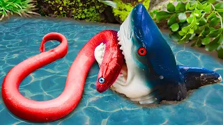 Stop Motion ASMR in mud Blue Shark Hunting Koi Fish, Eels, Snakes - Mud Battle Experiment Colorful