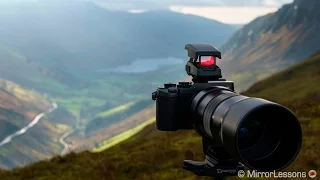 Olympus EE-1 Dot Sight Review with the M.Zuiko 300mm f/4