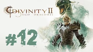 Прохождение Divinity II: Ego Draconis - Часть 12 (Башня Ловиса)