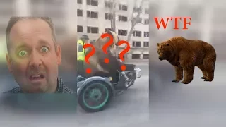 Медведь на мотоцикле // Bear on a motorcycle