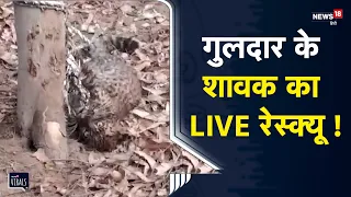 Viral | UP के Bijnor में गुलदार के शावक का रेस्क्यू, Video हुआ वायरल | Uttar Pradesh News | Wildlife
