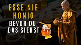 Achtung! Honig mit Gesundheitsrisiken: Die 3 besten und schlechtesten Rezepte die du meiden solltest