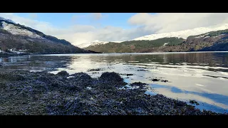 Beluga Lagoon, Rainbows - live at Lochgoilhead Village Hall, 2022