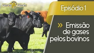 Quebrando Paradigmas (Ep. 1) Emissão de gases pelos bovinos (greenhouse gas emissions from cattle)