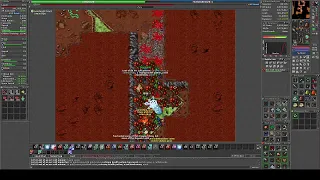 Tibia Guide - Where to find Orc Cults on Edron - Way + Short exp - Master Sorcerer - Kubson Master