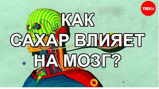 Как сахар влияет на мозг? / Ted Ed на русском языке