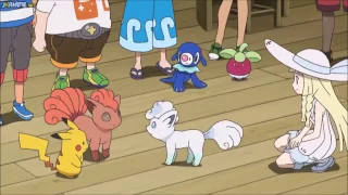 pokemon amv vulpix and Lillie