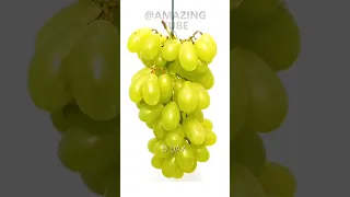 grapes🍇🍇 Timelapse #shorts #viral #amazing