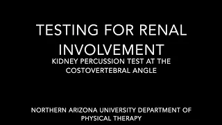 Kidney Percussion Test at the Costovertebral Angle