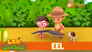 Electric Eel Shocks A Snake To Save Leo! |Leo the Wildlife Ranger|Animals for Kids | @Mediacorp okto