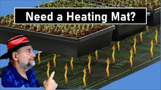 Do You Need a Heating Mat to Start Seeds?