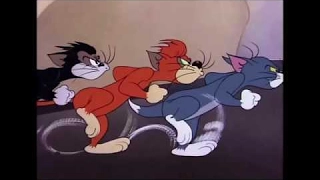 Tom and Jerry 48 Episode Saturday Evening Puss 1950 Capitulo Invertido