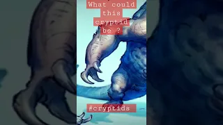 What could this creature be?            More in this video https://youtu.be/2qxs6R4cNs8