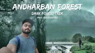 ANDHARBAN 2022 : The DENSE Forest of Maharashtra - Monsoon Jungle Trek