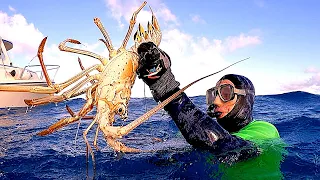Freediving Bermuda (Lobster, Bottle & Lionfish Diving)