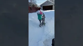 snowball fight revenge 3 vs 1