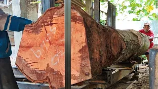 Sawmill wood durian giant 4 meters long
