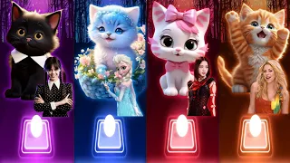 Cute Cat Songs | Wednesday Bloody Mary | Elsa Enemy | Jisoo Flower | Shakira Waka Waka | Tiles Hop