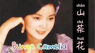 Shan Cha Hua - 山茶花 - Teresa Teng (邓丽君) - Bunga Kamelia - Lagu Mandarin Subtitle Indonesia Pinyin