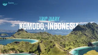 Komodo, Indonesia | SwimTrek Trip Diary