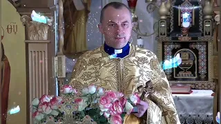 Шукайте краси🌺Шукайте естетики.                        ✝️ отець Василь Колодій