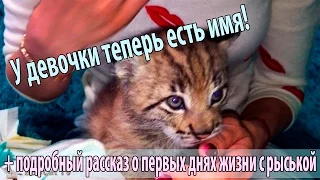 Дали нашей рыське имя!)) Ну и хорошенько облизали в честь этого события))