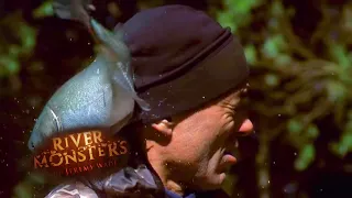 Dangerous Jumping Silver Carp | CARP | River Monsters