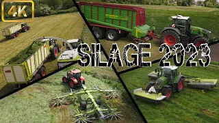 XXL Silage 2023 ( Mähen Schwaden Häckseln ) Fendt / Claas / Kubota / Strautman 1.Schnitt