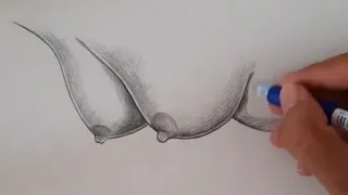 Pencil drawing  - pencil on paper - female figure milk Boobs