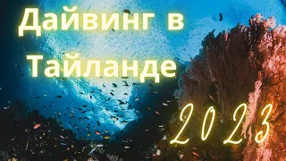 Дайвинг в Тайланде в 2023. Экскурсии на Пхукете. Морские обитатели островов. Влог №3