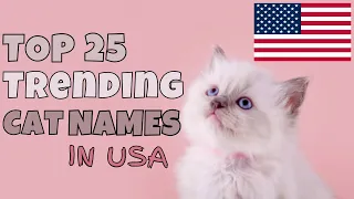 Top 25 Trending cat names in the USA