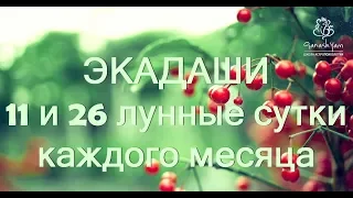 «Экадаши» 11-й и 26-й лунные сутки!