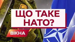 Що таке НАТО, як працює та для чого створили? Повна історія | Вікна-Новини