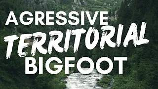 Very Aggressive BIGFOOT Territorial Display | BIGFOOT ENCOUNTERS PODCAST Over 1 Hour SCARY STORIES