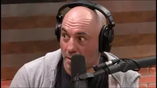 Joe Rogan - Nobody Cares About Male Fat Shaming