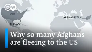 Why are so many Afghans seeking protection in the US? | DW News