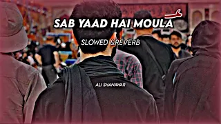 Sab Yaad Hai Moulaع. Ali shanawar noha Slowed reverb,