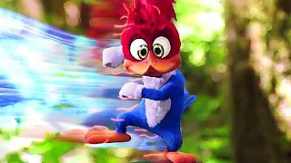 اسرع طائر على الارض بيحارب ضد البشر الى عايزين يدمرو بيتو | ملخص فيلم Woody Woodpecker