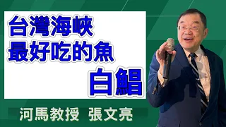 河馬教授-張文亮 台灣海峽最好吃的魚-白鯧(2024.01.25)