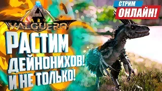 VALGUERO! РАСТИМ ДЕЙНОНИХОВ! Ark: Survival Evolved с модами на сервере Ark Shinydo.