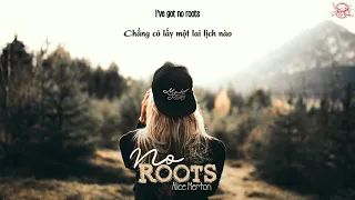 [Lyrics+ Vietsub] No roots - Alice Merton