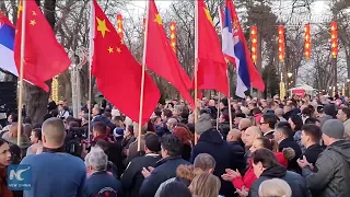 Iron-clad China-Serbia friendship stronger in COVID-19 fight