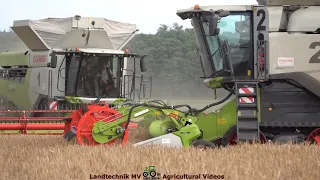 Claas - Fendt - Hawe / Getreideernte - Grain Harvest  2022  pt.1