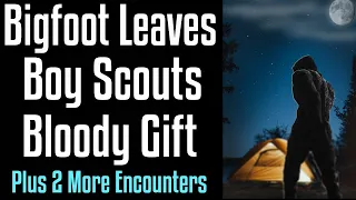 Bigfoot Leaves Boy Scouts a Bloody Gift - Baby Bigfoot in Washington -An Ohio Bigfoot Encounter