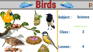 Birds ( Beaks / Nests / Claws / Food) CBSE Class 3 | Birds Lesson Science Grade 3