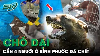 Chó Dại Cắn 4 Người Bị Thương Ở Bình Phước Đã Chết | SKĐS