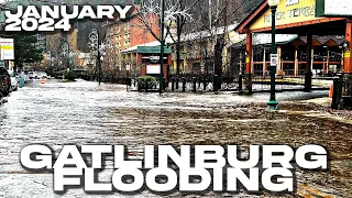 GATLINBURG FLOODING Schools, National Park, Greystone Hts Bridge Closed River Rd Underwater 1/9/2024