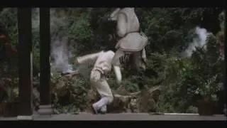 Top 10 Trad Kung Fu Fights; Shaolin Temple 2 Part 1 No.9